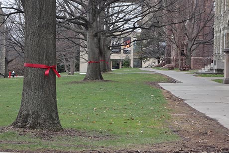ribbons on arts quad