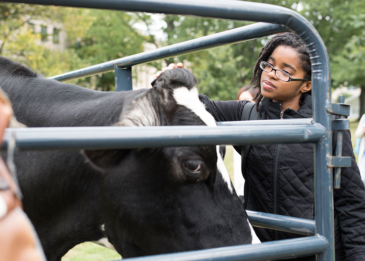 student petting cow